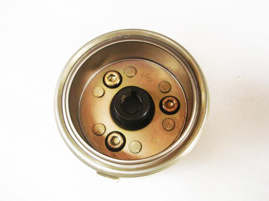 6Pole Flywheel Magneto Stator Rotor Electric Start 50cc- 125cc Assassin Shineray