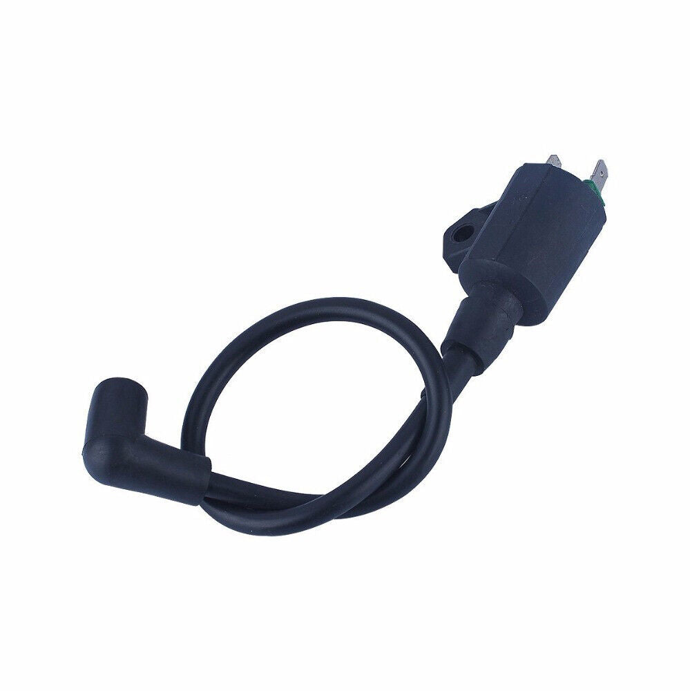 Ignition Coil Module For Yamaha ET950 ET650 EF1000AX GAS Generator Motor Engine