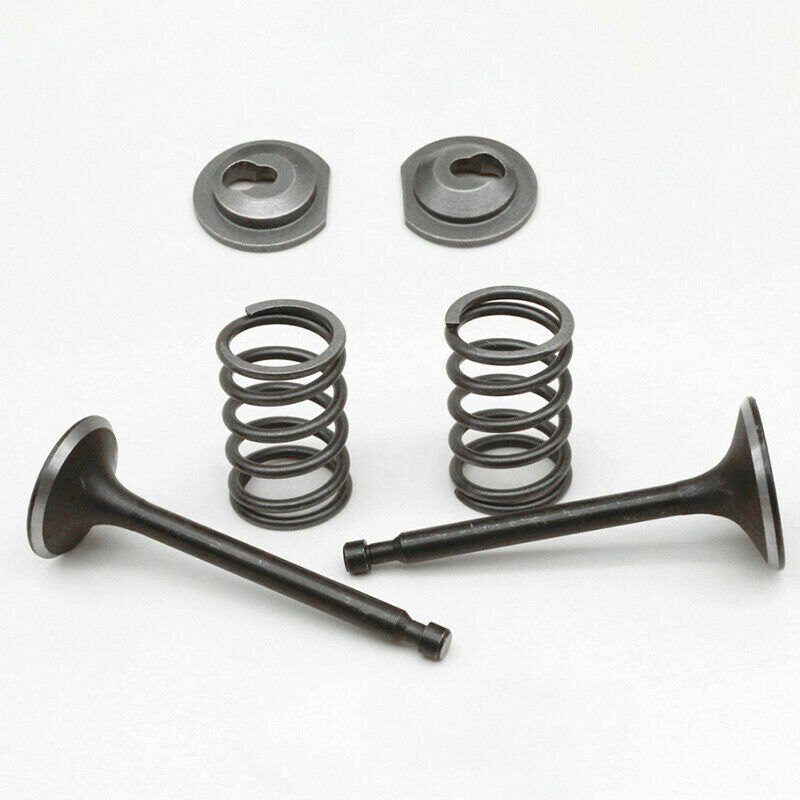 Intake Exhaust Valve Spring Collet Kit For Honda GX160 GX200 5.5HP 6.5HP Engine