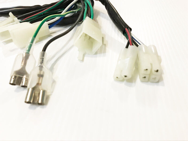WIRELOOM WIRING HARNESS GY6 125cc 150cc 250cc MOPED ATV QUAD BUGGY GOKART BIKE