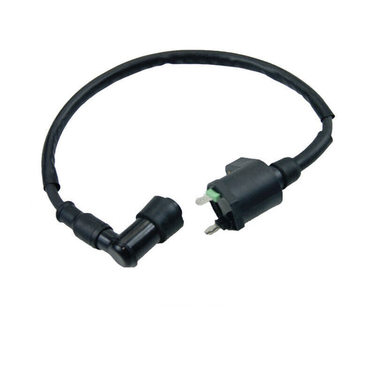 2 Pin Ignition Coil Spark Plug Lead 90cc 110cc 150cc 250CC Thumpstar NST Kazuma