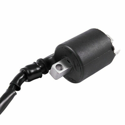12V Ignition Coil For Honda TRX420FPM TRX420PG TRX420TE TRX420TM TRX420FA 2x4
