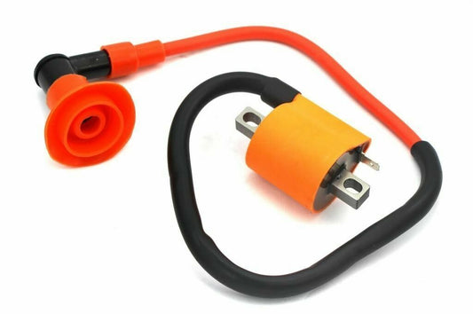 Ignition Coil Module for Malaguti Qlink Hawk 50 Rave Star Vento - Triton zip