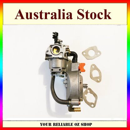 Dual Fuel Carburetor Carb LPG NG Conversion Kit For Honda 168F GX160 Auto choke