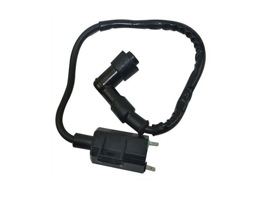 IGNITION COIL SPARK PLUG LEAD For SUZUKI 80 LT80 QUADSPORT 2000-2006 ATV