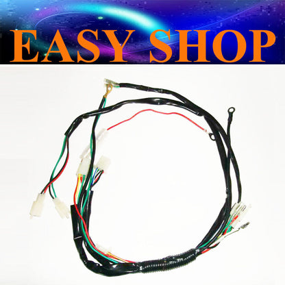 WIRE LOOM WIRING HARNESS 50cc 70cc 90cc 125cc 140cc 150cc 160cc DIRT PITPRO BIKE