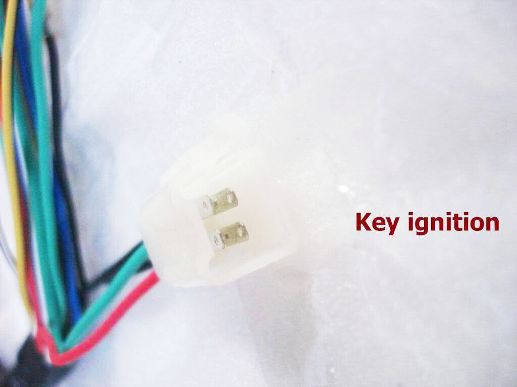WIRE LOOM WIRING HARNESS REMOTE FUNCTION 50cc 110cc 125cc Taotao Kazuma SUNL TDR