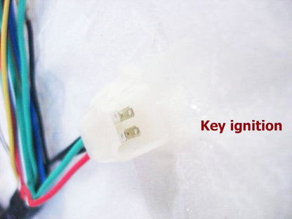 WIRE LOOM WIRING HARNESS REMOTE FUNCTION 50cc 110cc 125cc Taotao Kazuma SUNL TDR