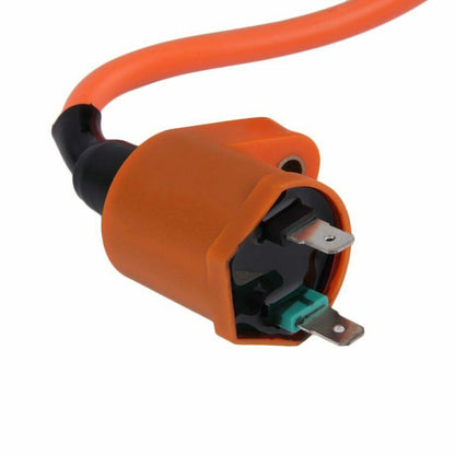 2 Pin Ignition Coil GY6 110cc 125cc 150cc 250cc Scooter Roketa Sunl Kazuma Kymco