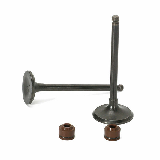 2V Head Yinxiang 150CC Dirt Pit Bike YX 160CC Engine Intake Exhaust Valve Kits