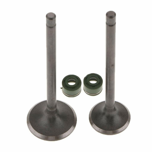 23mm 28mm Engine Head Intake Exhaust Valve Oil Seal 125cc Taotao Kazuma SUNL TDR