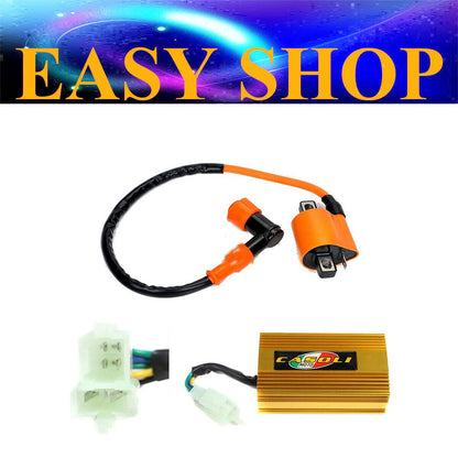 Ignition Coil CDI UNIT For 150cc 200cc 250cc 300cc Dirt Quad PIT PRO Bike