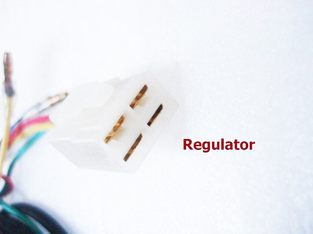 WIRE LOOM WIRING HARNESS REMOTE FUNCTION 50cc 110cc 125cc Taotao Kazuma SUNL TDR