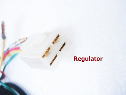 WIRE LOOM WIRING HARNESS REMOTE FUNCTION 50cc 110cc 125cc Taotao Kazuma SUNL TDR