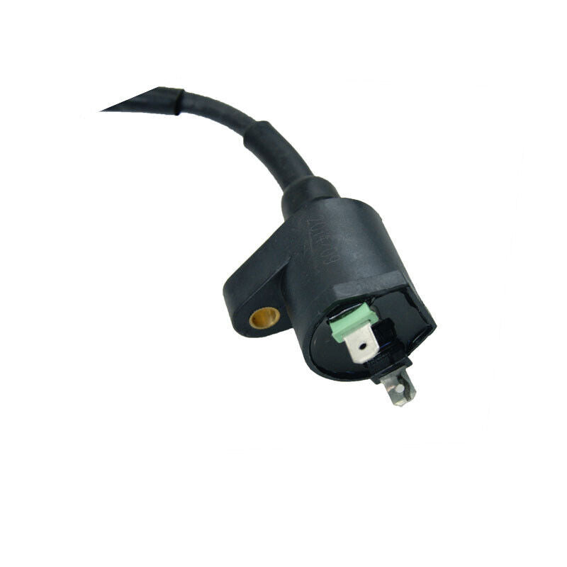 2 Pin Ignition Coil Spark Plug Lead 90cc 110cc 150cc 250CC Thumpstar NST Kazuma
