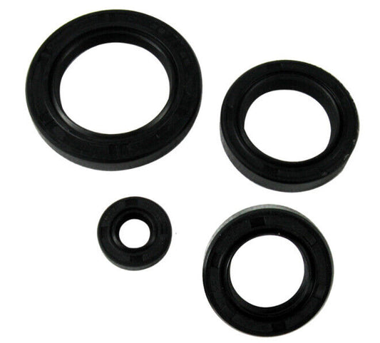 Full Set crankshaft Rubber Oil Seal Scooter Engine CH250 CF QJ Keeway Suzuki