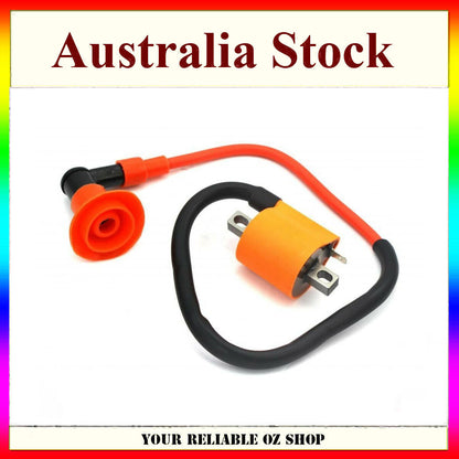 Ignition Coil Module for Malaguti Qlink Hawk 50 Rave Star Vento - Triton zip