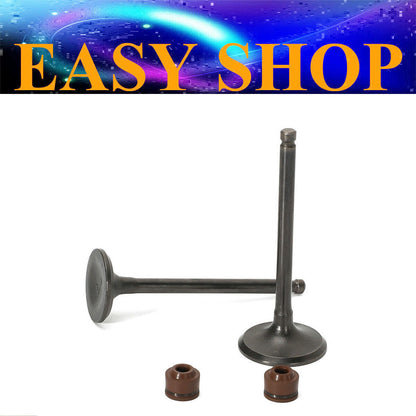 2V Head Yinxiang 150CC Dirt Pit Bike YX 160CC Engine Intake Exhaust Valve Kits