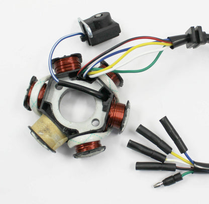 5 Wires 6 Pole Magneto Flywheel Stator 50cc 110cc 125cc Thumpstar Buggy Gokart