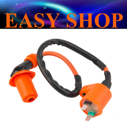 2 Pin Ignition Coil GY6 110cc 125cc 150cc 250cc Scooter Roketa Sunl Kazuma Kymco
