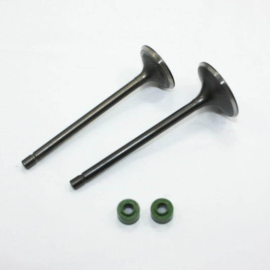 31.8mm 27mm Engine Intake Exhaust Valves For Zongshen CB250 250cc DIRT PIT BIKE