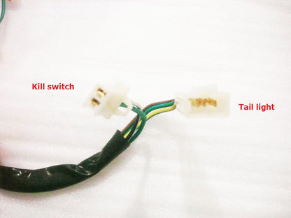 WIRE LOOM WIRING HARNESS REMOTE FUNCTION 50cc 110cc 125cc Taotao Kazuma SUNL TDR