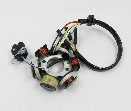 5 Wires 6 Pole Magneto Flywheel Stator 50cc 110cc 125cc Thumpstar Buggy Gokart