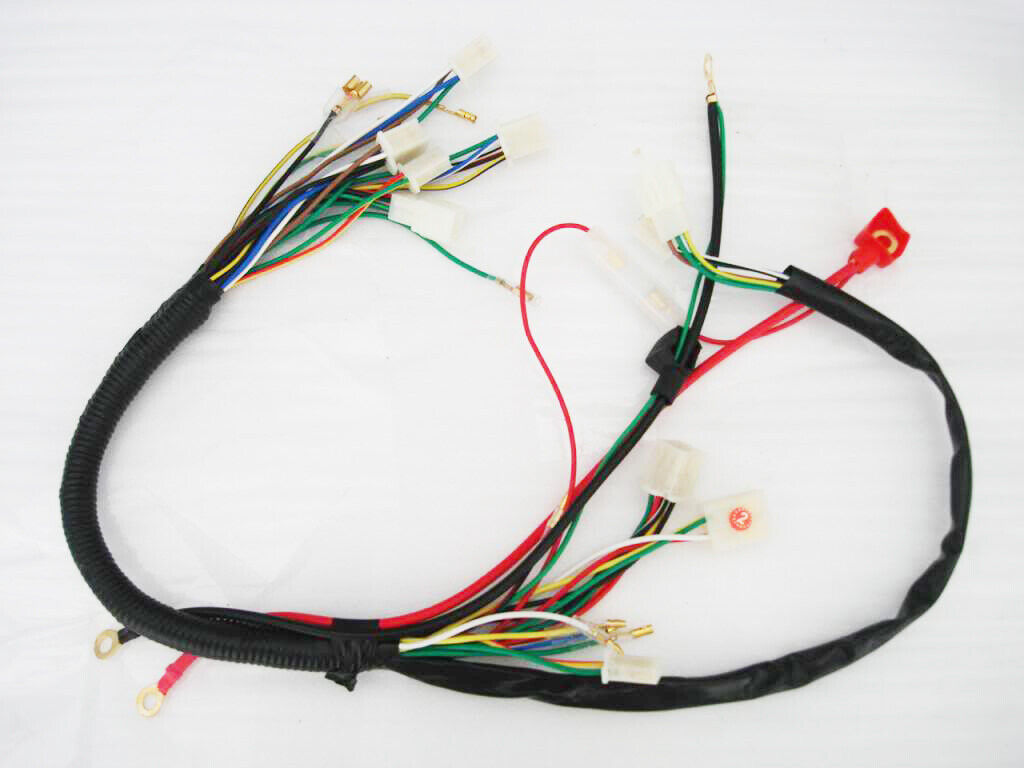 WIRING HARNESS CDI Remote Switch Regulator Coil 50cc 110cc 125cc QUAD ATV BIKE