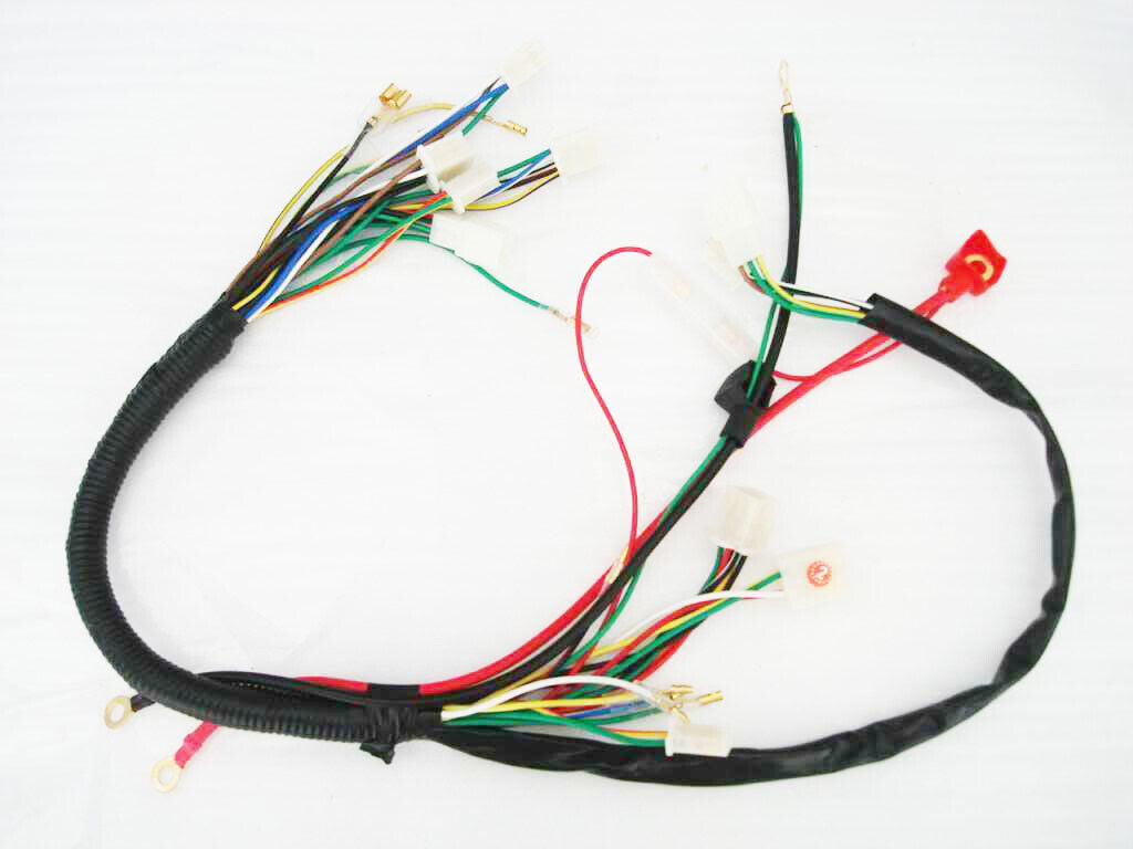 WIRE LOOM WIRING HARNESS REMOTE FUNCTION 50cc 110cc 125cc Taotao Kazuma SUNL TDR