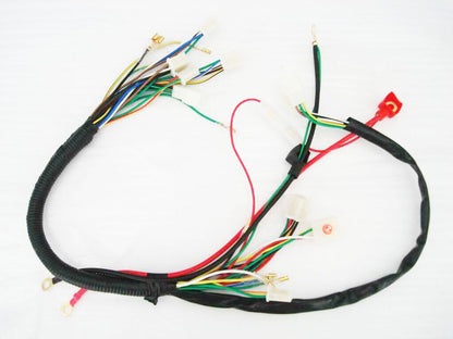 WIRE LOOM WIRING HARNESS REMOTE FUNCTION 50cc 110cc 125cc Taotao Kazuma SUNL TDR