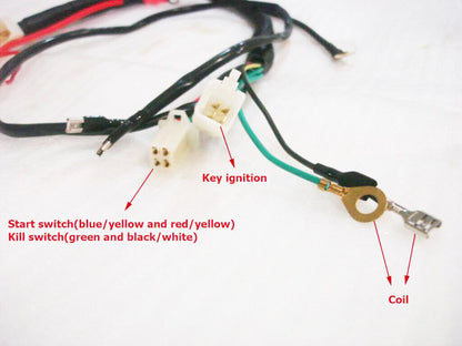 ELECTRIC START WIRING LOOM HARNESS 150cc 200cc 250cc 300cc Roketa Orion Lifan