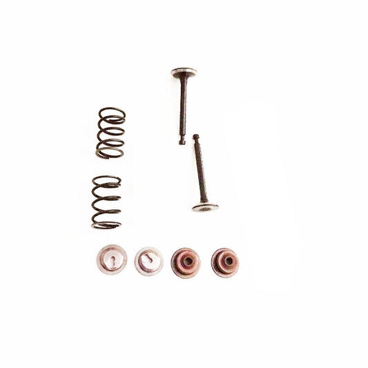 Exhaust & Intake Valve Set FOR Honda GX31 Engine 139F Brush Cutter Trimmer