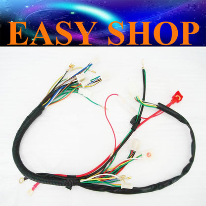 WIRE LOOM WIRING HARNESS REMOTE FUNCTION 50cc 110cc 125cc Taotao Kazuma SUNL TDR
