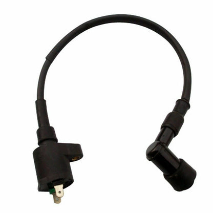 2 Pin Ignition Coil Spark Plug Lead 90cc 110cc 150cc 250CC Thumpstar NST Kazuma