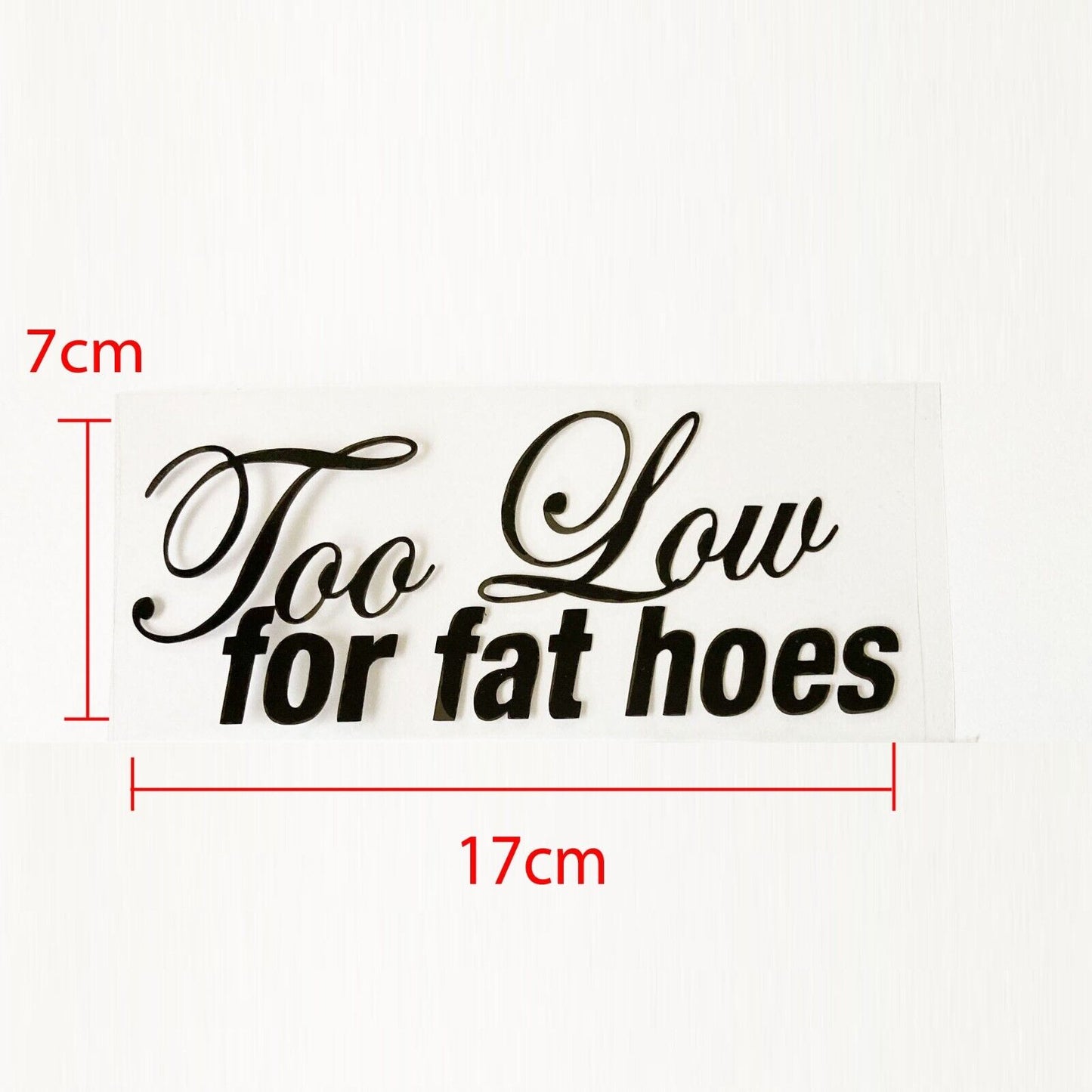 Too low for fat hoes Funny JDM Sticker Decal Car Drift Turbo Fast Vinyl WINDOW