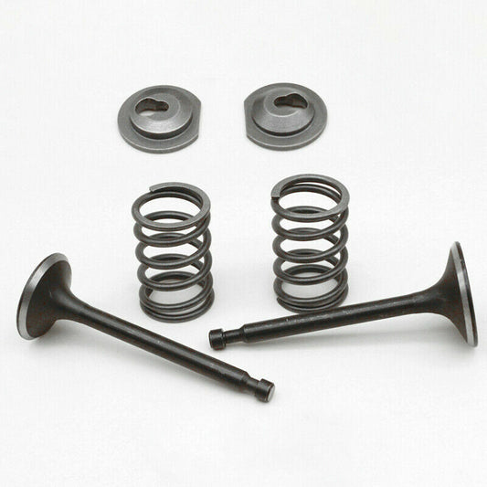 Intake Exhaust Valve Spring Collet Kit For Honda GX160 GX200 5.5HP 6.5HP Engine