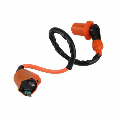 2 Pin Ignition Coil GY6 110cc 125cc 150cc 250cc Scooter Roketa Sunl Kazuma Kymco
