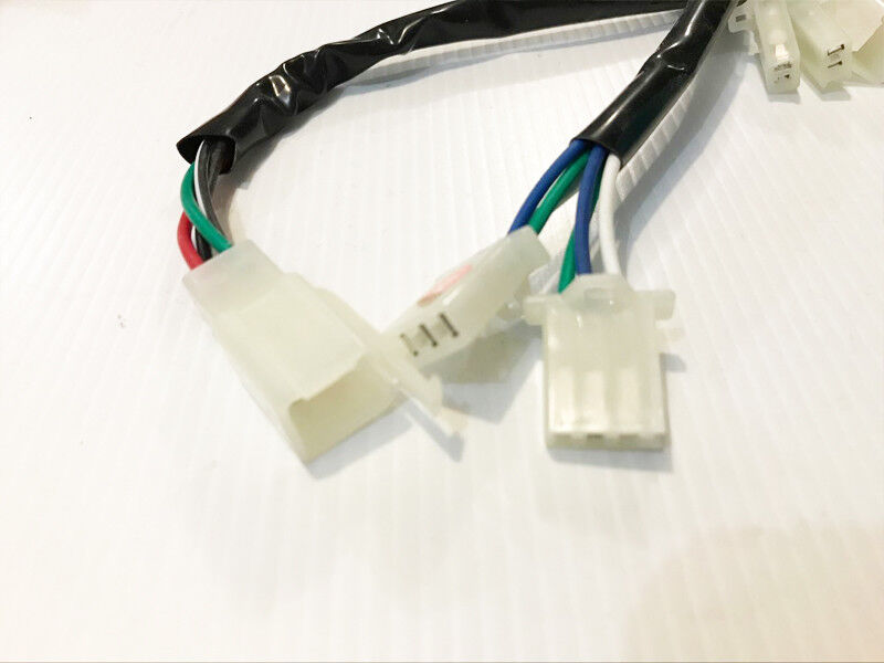 WIRELOOM WIRING HARNESS GY6 125cc 150cc 250cc MOPED ATV QUAD BUGGY GOKART BIKE