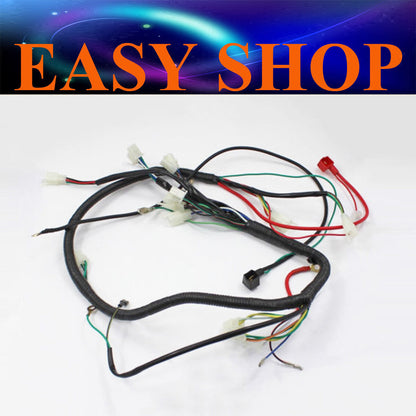 WIRELOOM WIRING HARNESS GY6 125cc 150cc 250cc MOPED ATV QUAD BUGGY GOKART BIKE