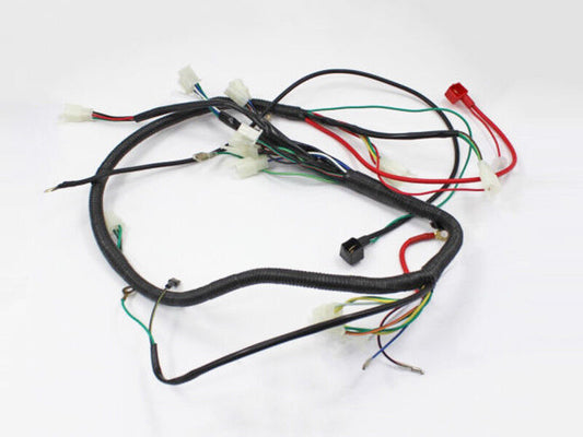 WIRELOOM WIRING HARNESS GY6 125cc 150cc 250cc MOPED ATV QUAD BUGGY GOKART BIKE