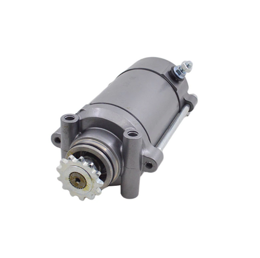 Starter Motor for 253FMM Phoenix 250 Regal Raptor DD250 CBT125 CBT150 Choppers