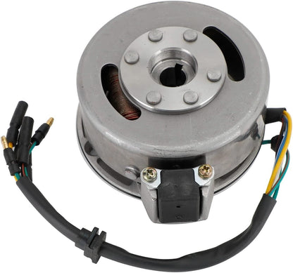 Magneto Stator Plate + Flywheel Set 110cc 125cc Kick Start PIT PRO Dirt Bike