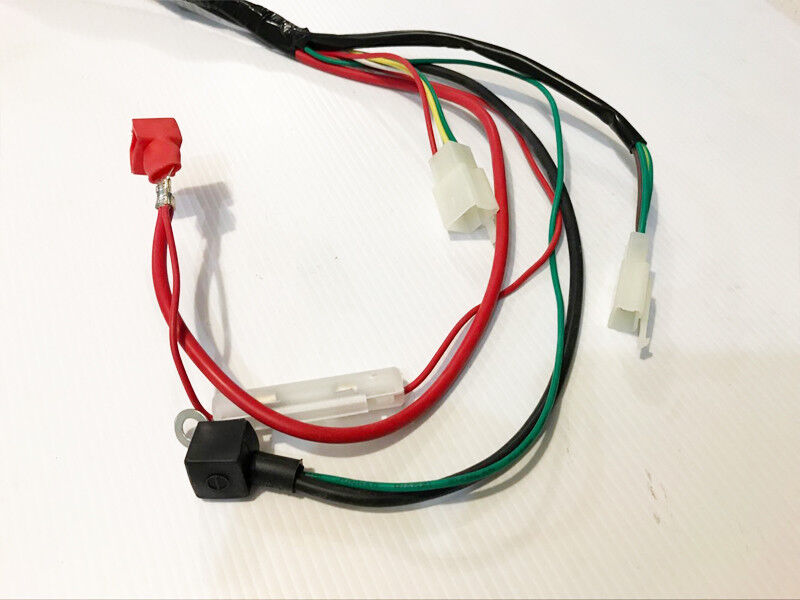 WIRELOOM WIRING HARNESS GY6 125cc 150cc 250cc MOPED ATV QUAD BUGGY GOKART BIKE
