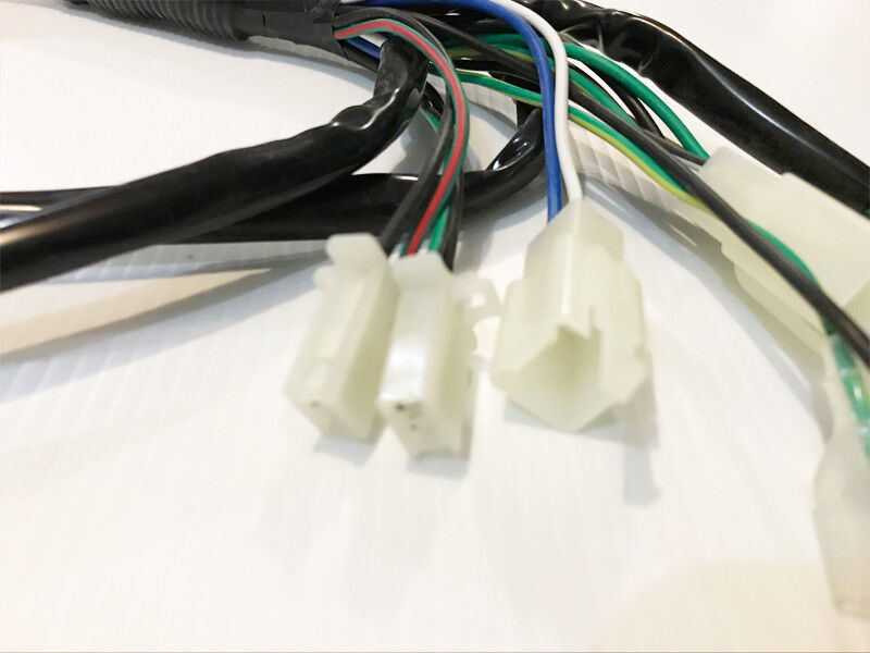 WIRELOOM WIRING HARNESS GY6 125cc 150cc 250cc MOPED ATV QUAD BUGGY GOKART BIKE