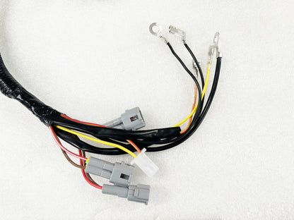 WIRELOOM WIRING WIRE HARNESS ASSEMBLY FOR YAMAHA TTR50 TTR50E 1P6-H2590-00