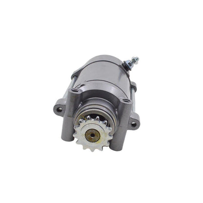 Starter Motor for 253FMM Phoenix 250 Regal Raptor DD250 CBT125 CBT150 Choppers