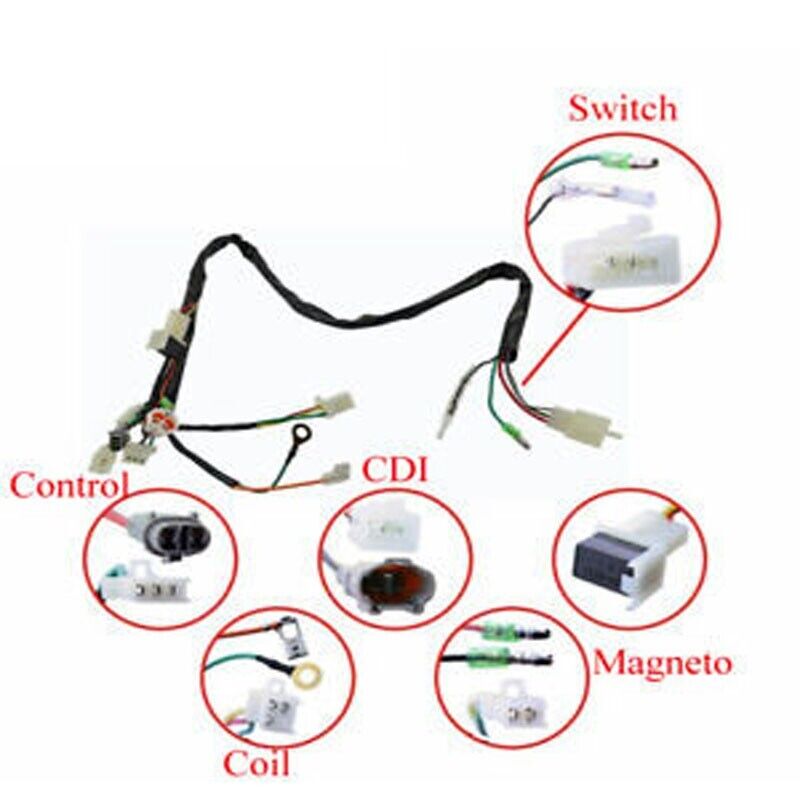 WIRE LOOM WIRING HARNESS ASSEMBLY CABLE PLUG YAMAHA PW50 PY50 PEEWEE Y-Zinger
