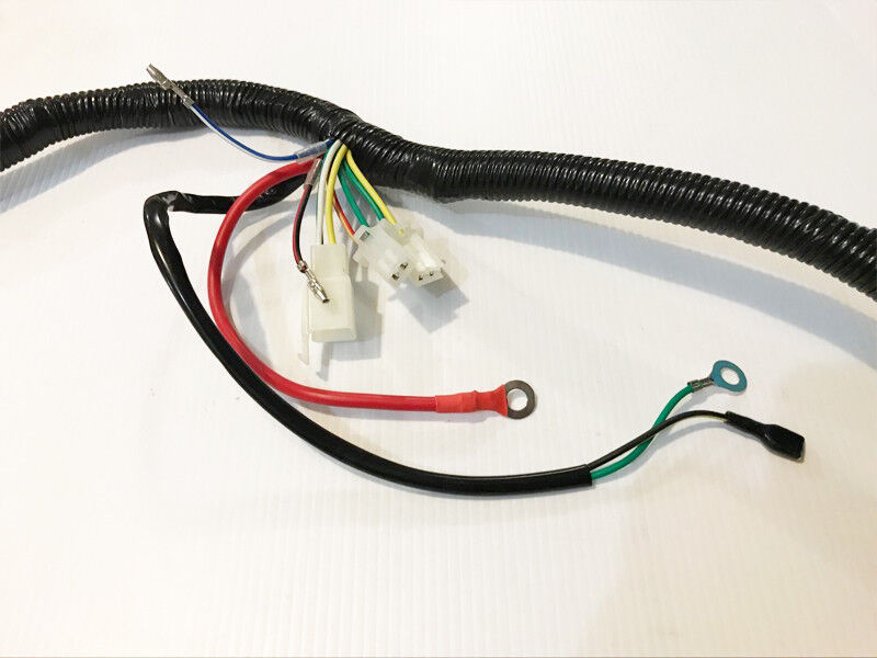 WIRELOOM WIRING HARNESS GY6 125cc 150cc 250cc MOPED ATV QUAD BUGGY GOKART BIKE