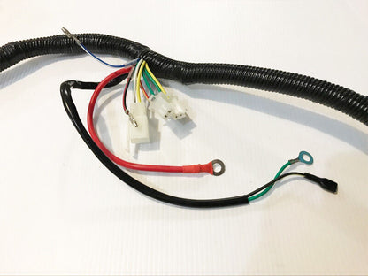 WIRELOOM WIRING HARNESS GY6 125cc 150cc 250cc MOPED ATV QUAD BUGGY GOKART BIKE