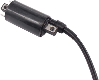 Ignition Coil For Suzuki Intruder Volusia Marauder 800 Boulevard S50 TL1000R